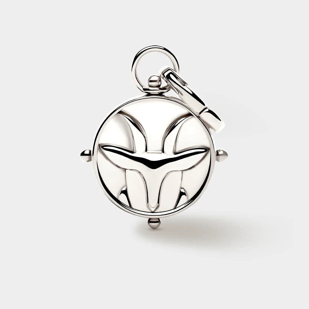 Zodiac Double-Sided Charm