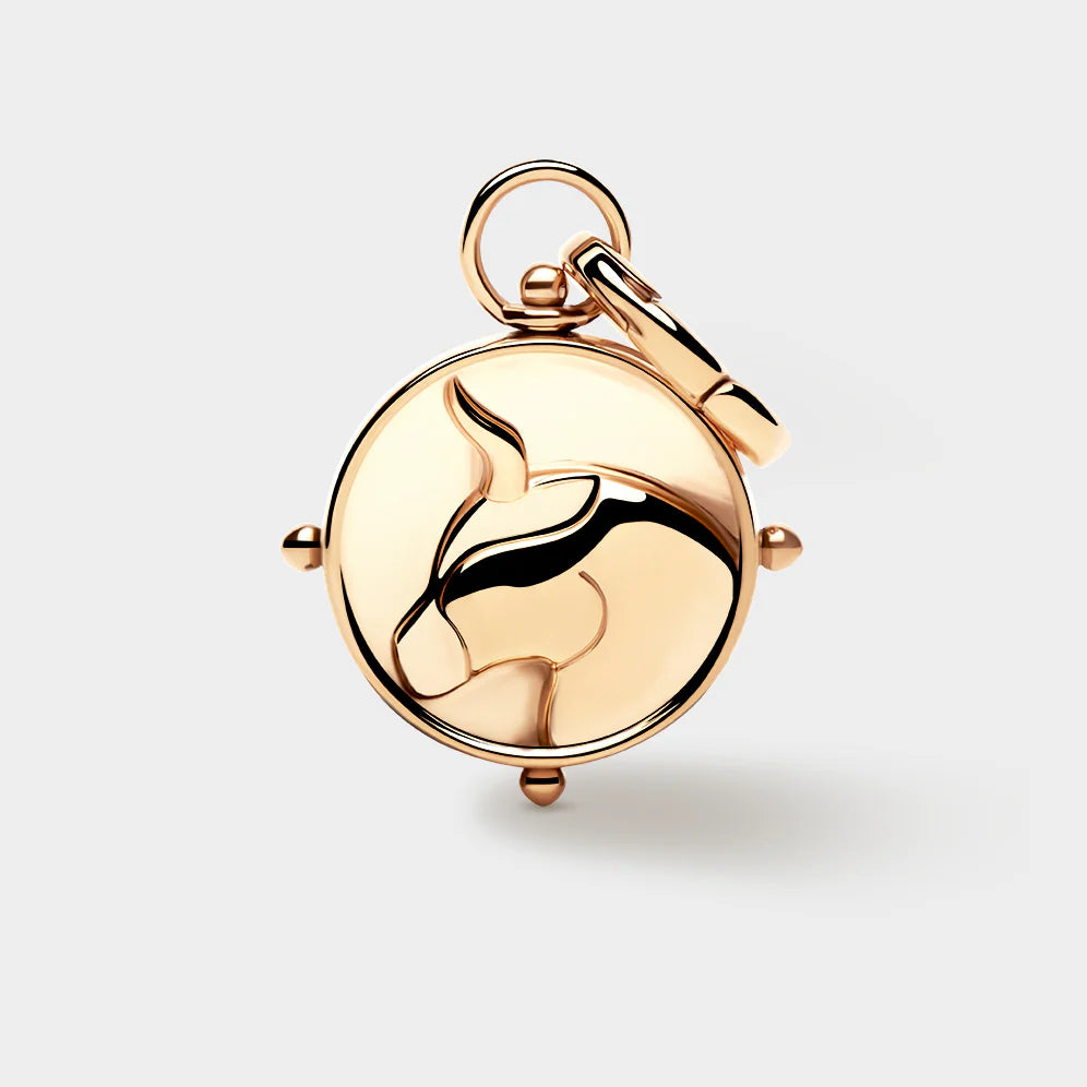 Zodiac Double-Sided Charm