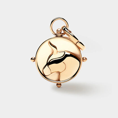 Zodiac Double-Sided Charm