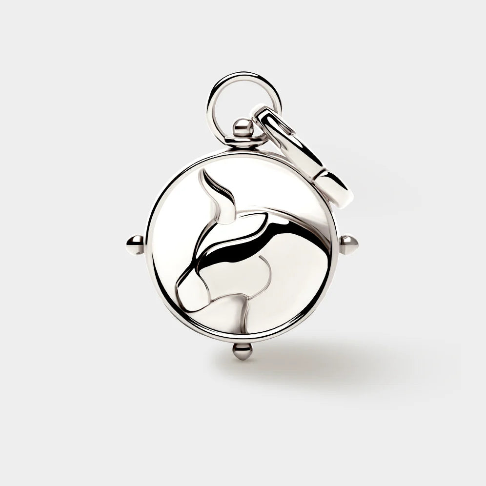 Zodiac Double-Sided Charm