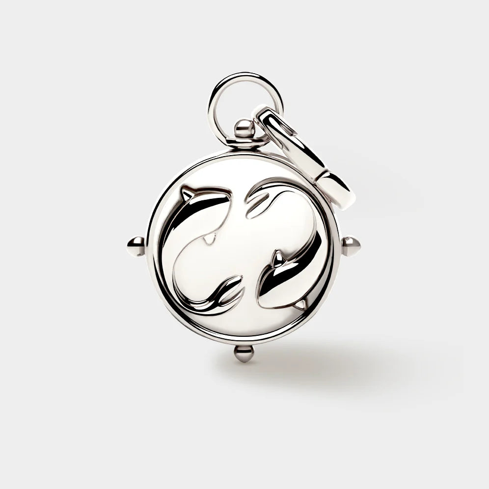 Zodiac Double-Sided Charm