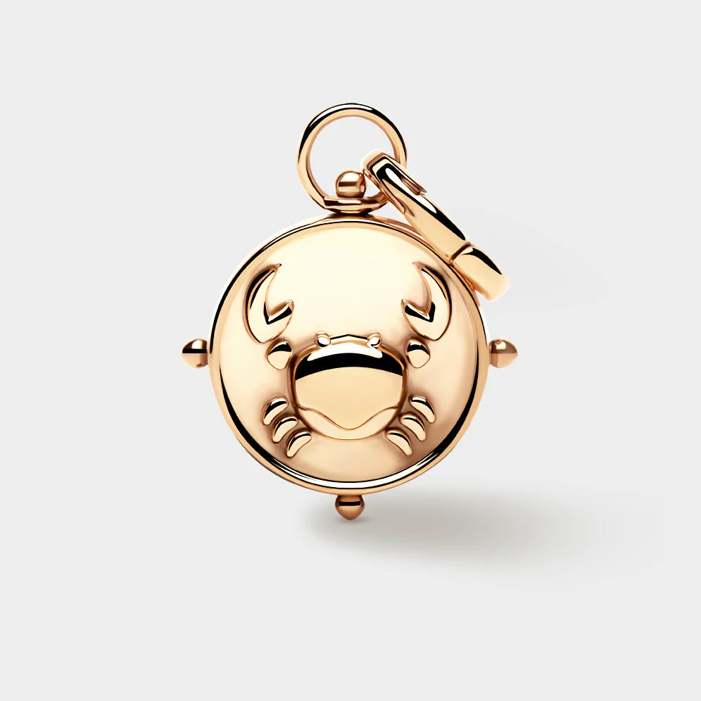 Zodiac Double-Sided Charm