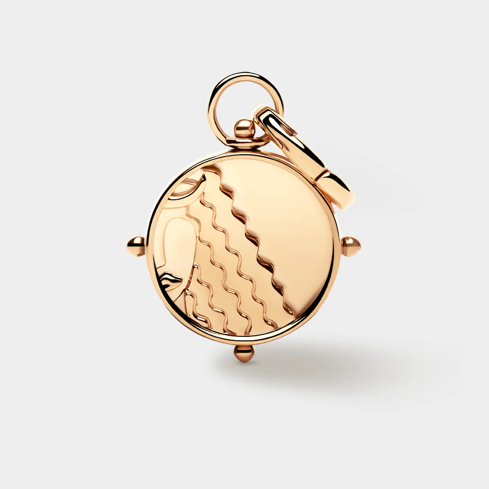Zodiac Double-Sided Charm