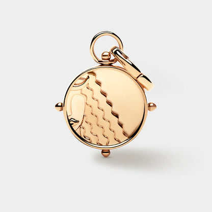 Zodiac Double-Sided Charm