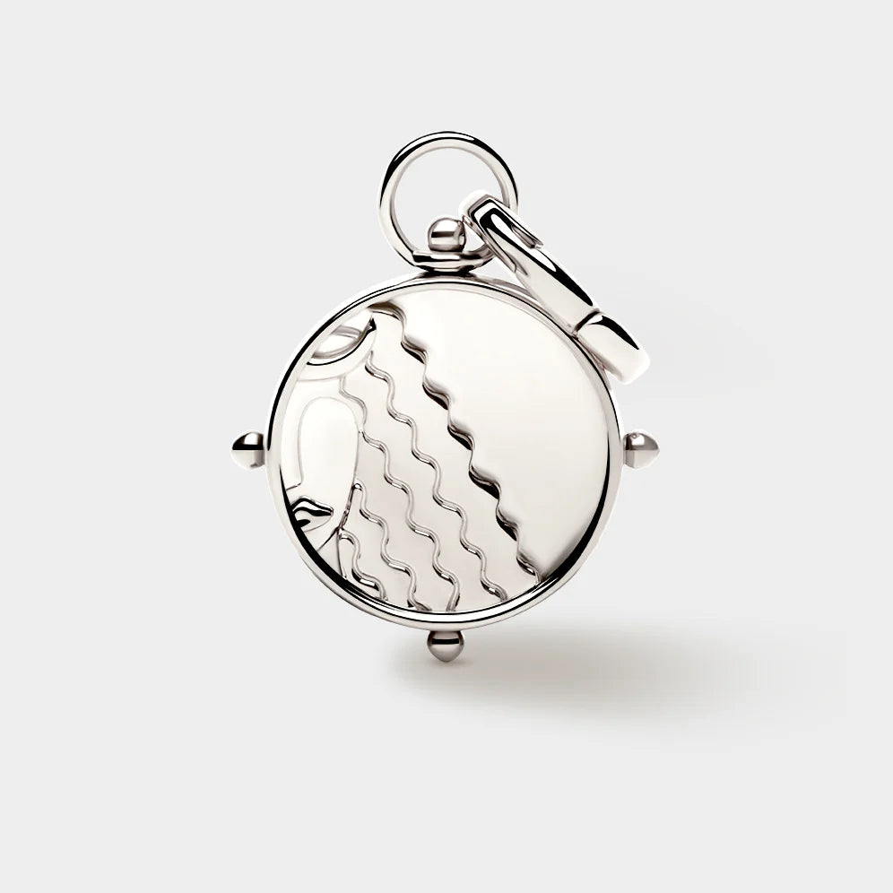 Zodiac Double-Sided Charm