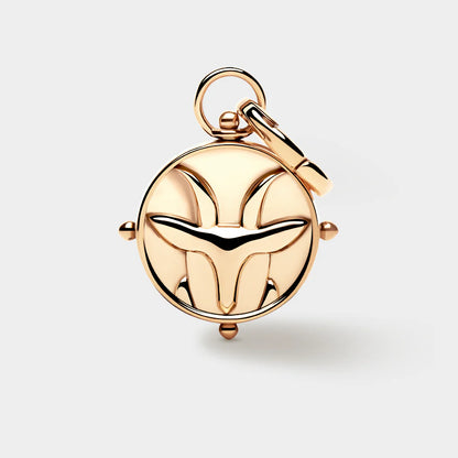 Zodiac Double-Sided Charm