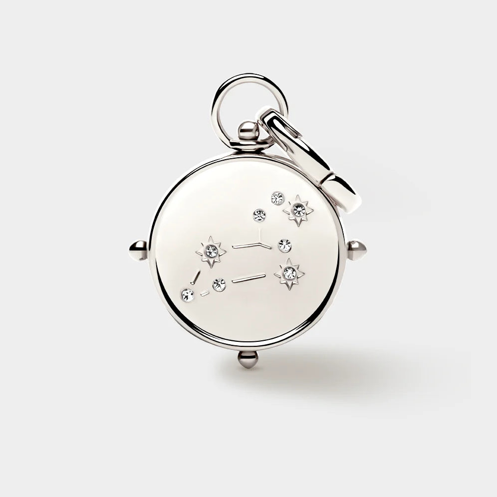 Zodiac Double-Sided Charm