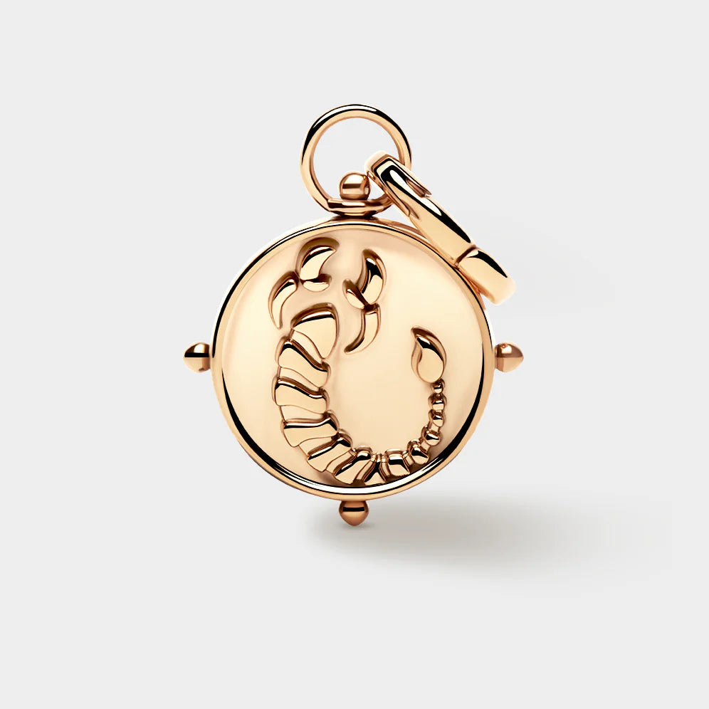 Zodiac Double-Sided Charm