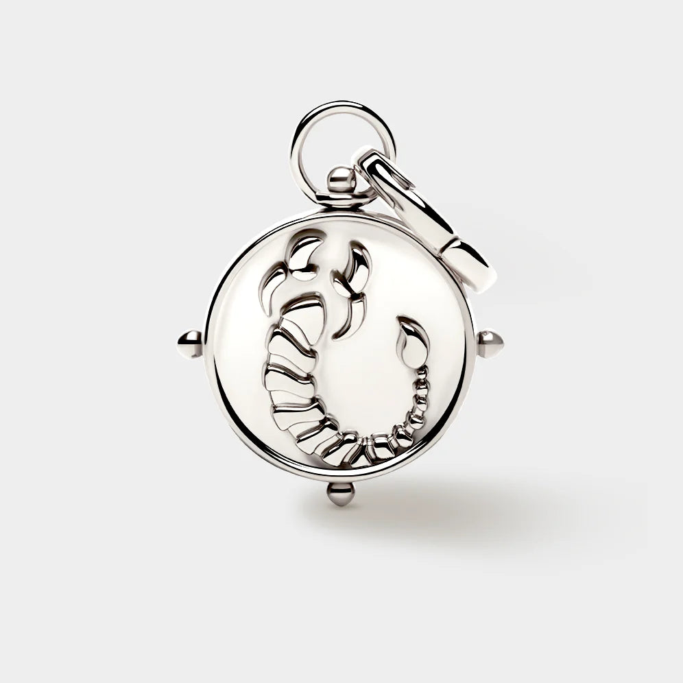 Zodiac Double-Sided Charm