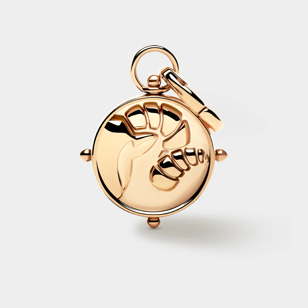 Zodiac Double-Sided Charm
