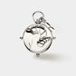 Zodiac Double-Sided Charm