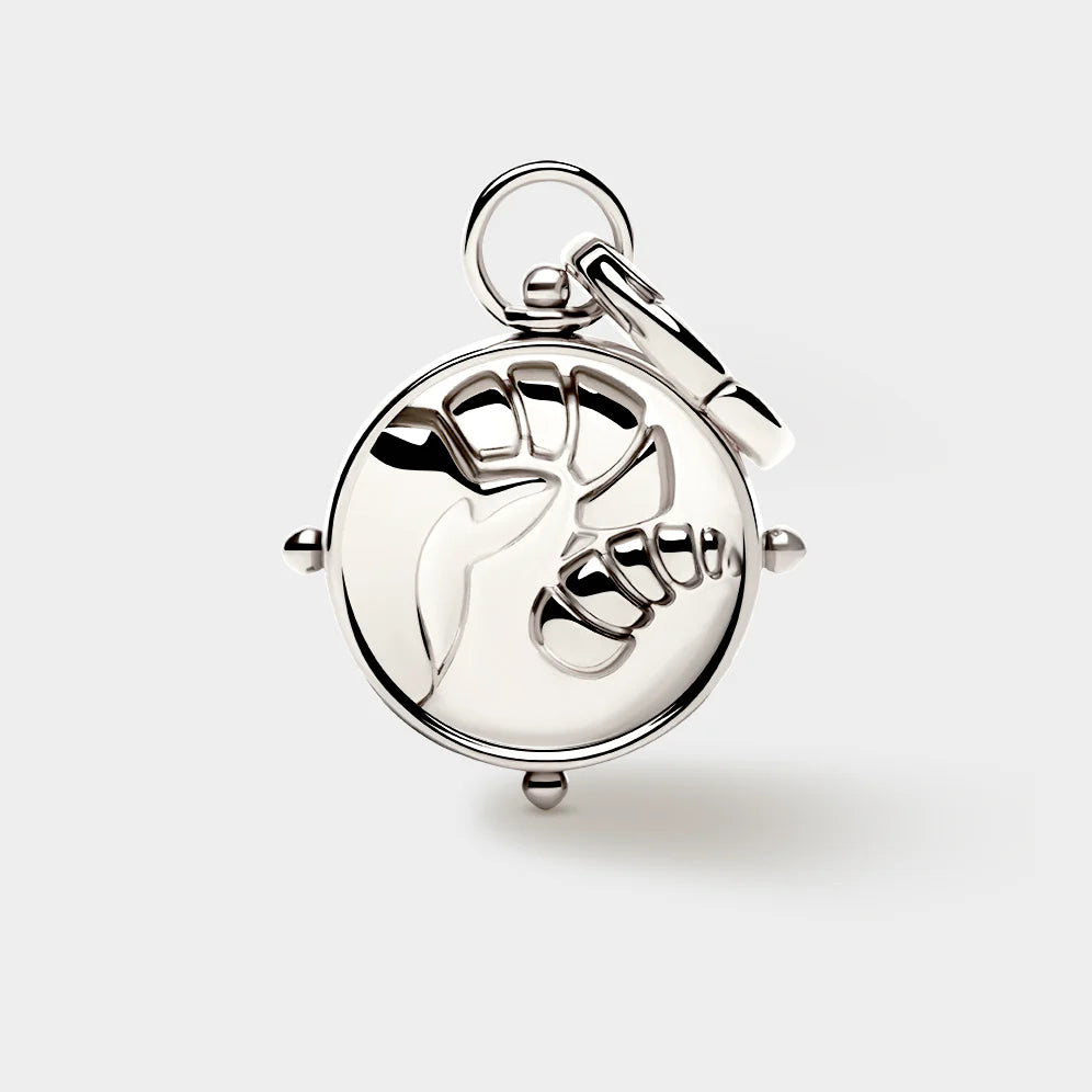 Zodiac Double-Sided Charm