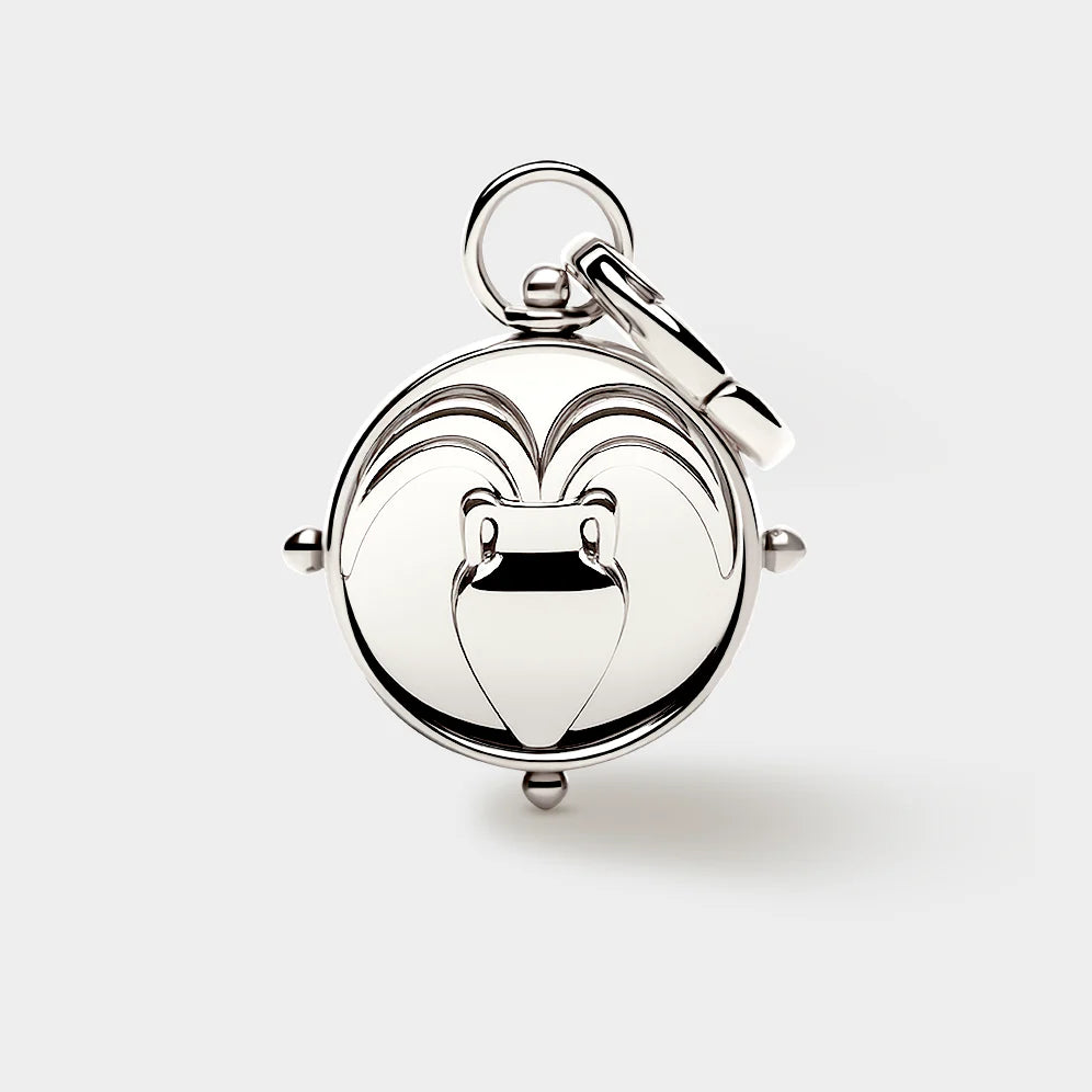 Zodiac Double-Sided Charm