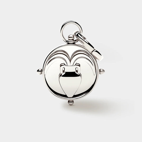 Zodiac Double-Sided Charm