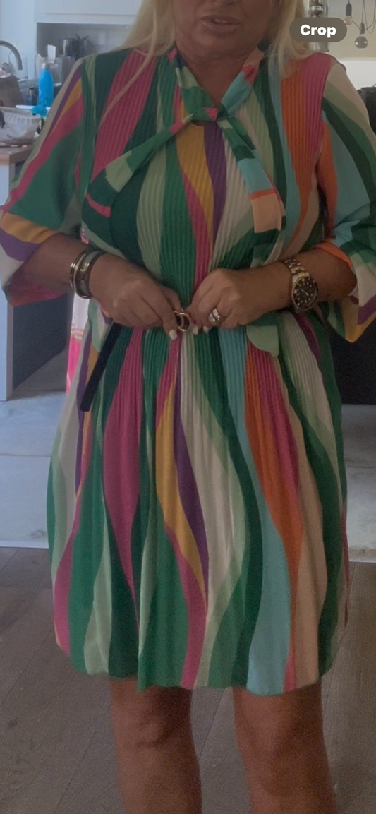 RAINBOW PLEAT DRESS